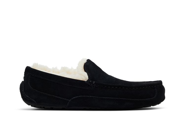 Кроссовки UGG Ascot Slipper 'Black', черный
Кроссовки UGG Ascot Slipper 'Black', черный