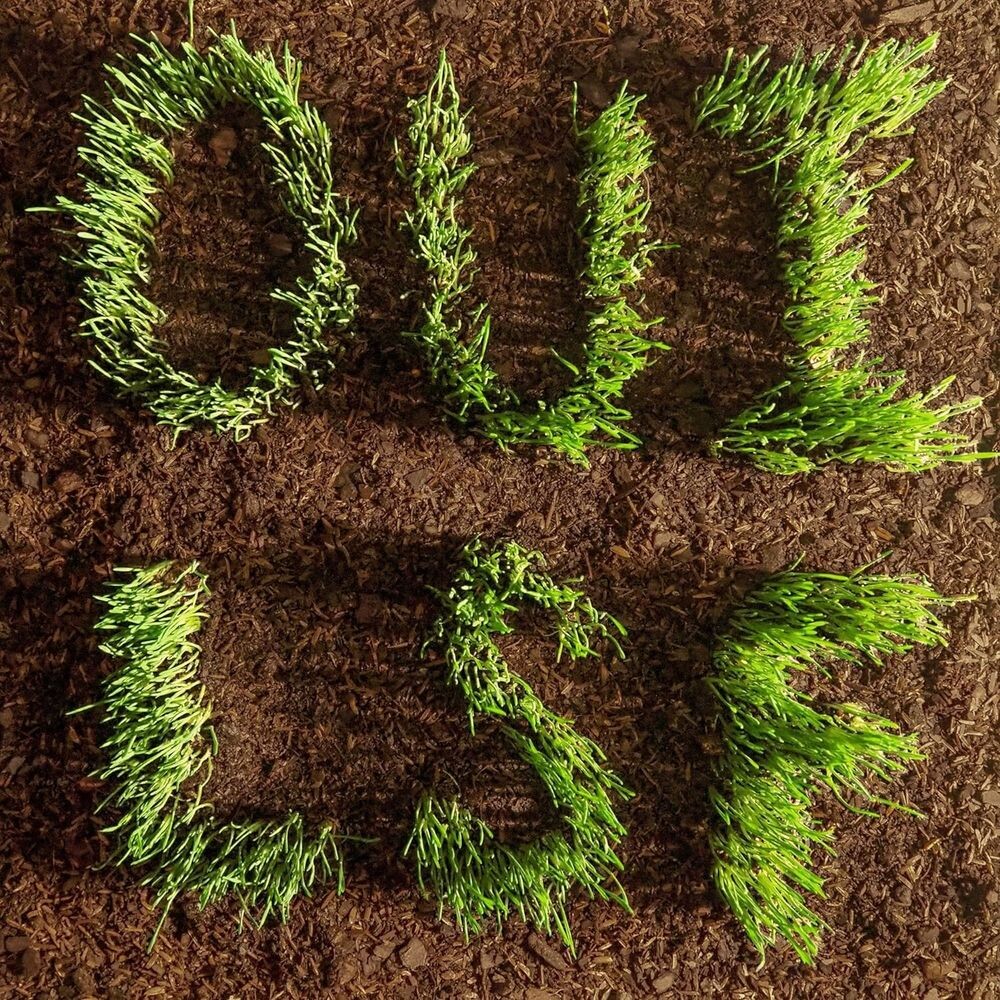 Диск CD OUI, LSF - Les Savy Fav
Диск CD OUI, LSF - Les Savy Fav