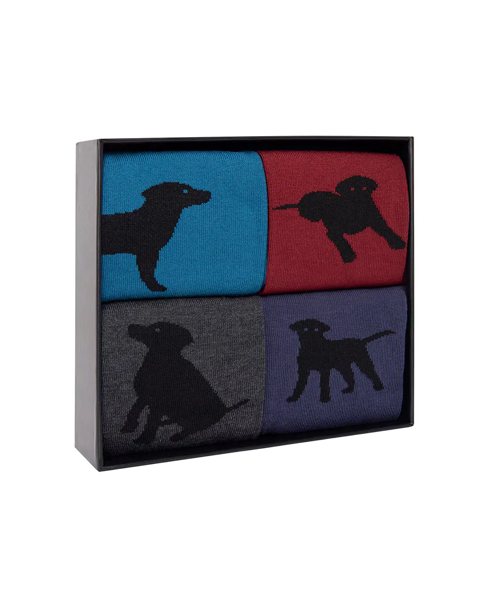 Упаковка из 4 пар мужских хлопчатобумажных носков разноцветных Punto Blanco, многоцветный
Упаковка из 4 пар мужских хлопчатобумажных носков разноцветных Punto Blanco, многоцветный