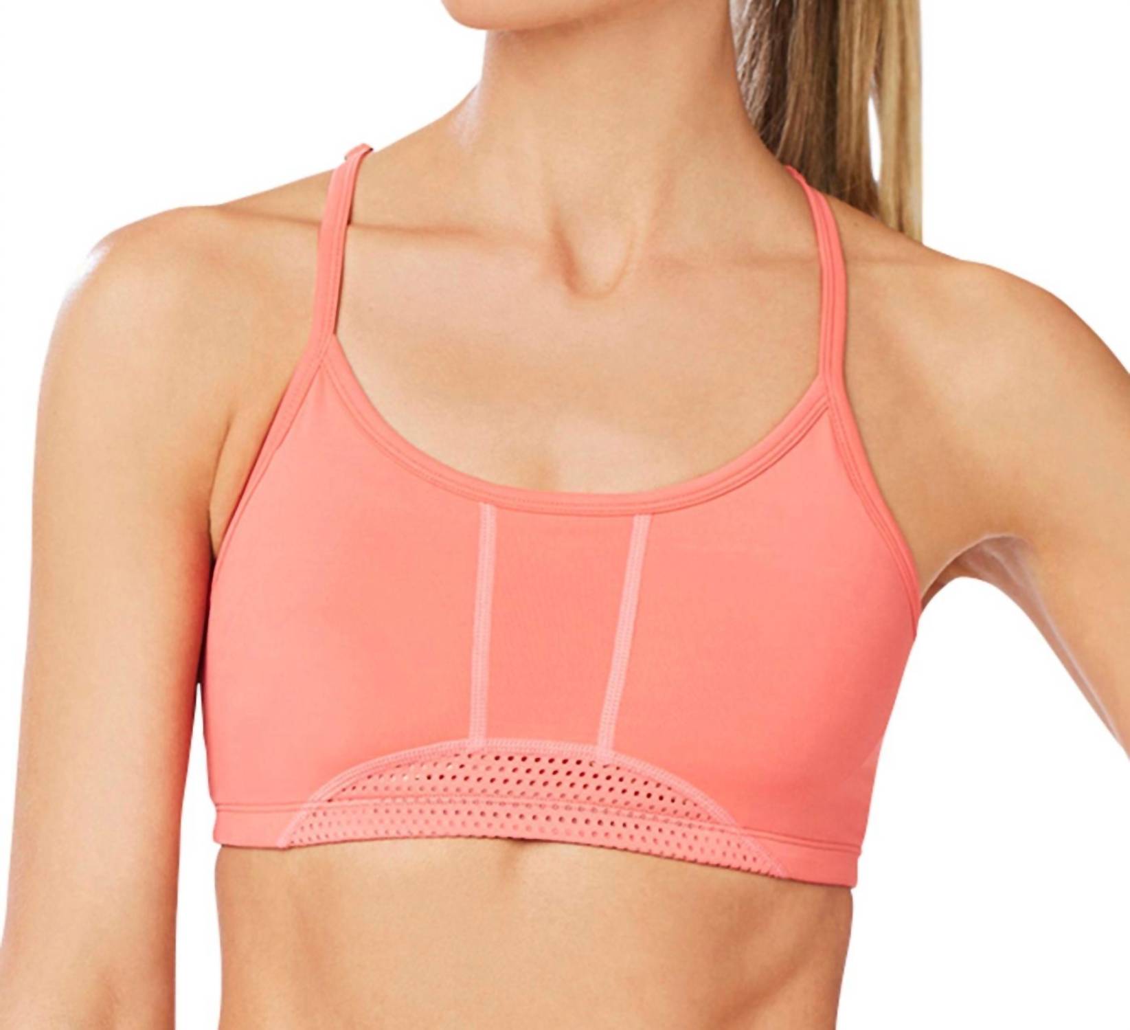 Спортивный бюстгальтер Exceed Low Impact в цвете Rose Of Sharon Shape Active
Спортивный бюстгальтер Exceed Low Impact в цвете Rose Of Sharon Shape Active