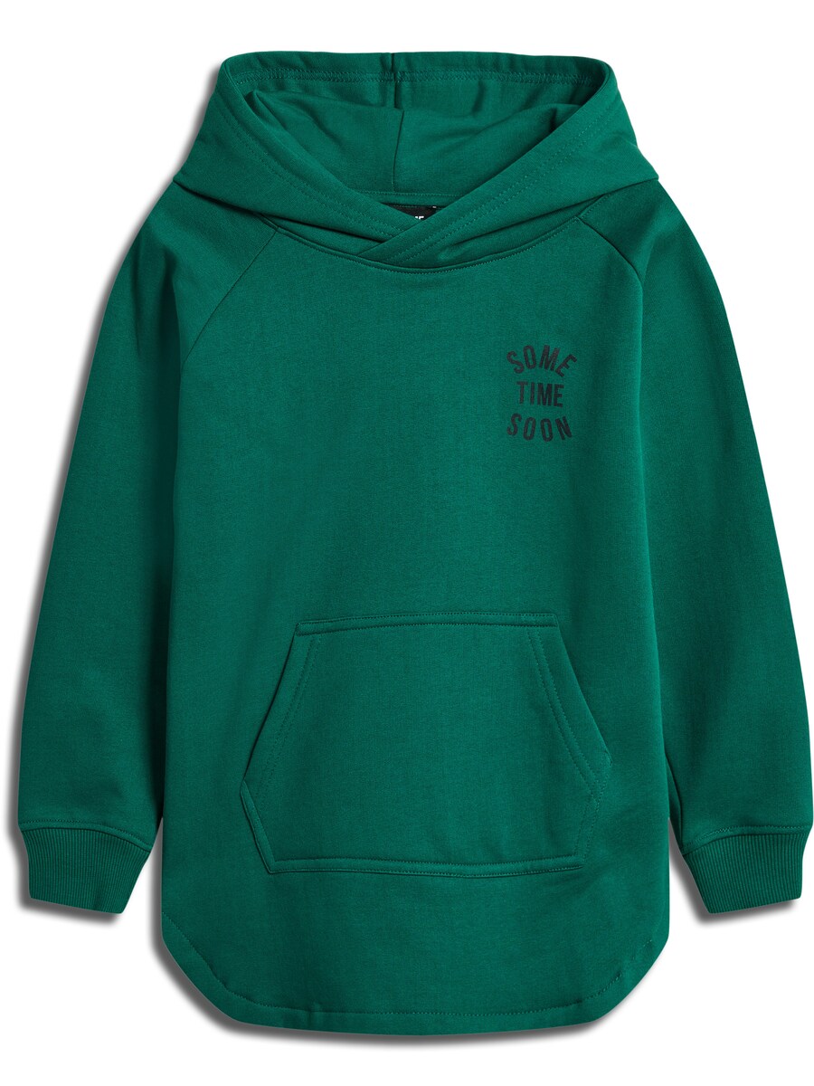 Толстовка SOMETIME SOON, цвет Fir
Толстовка SOMETIME SOON, цвет Fir