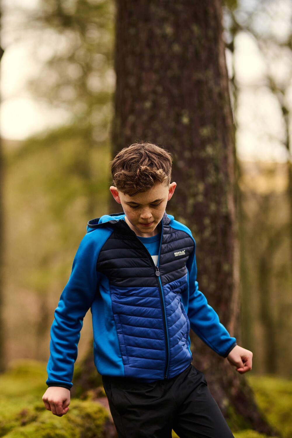 Толстовка Kielder Hybrid VIII стрейч Regatta, синий
Толстовка Kielder Hybrid VIII стрейч Regatta, синий