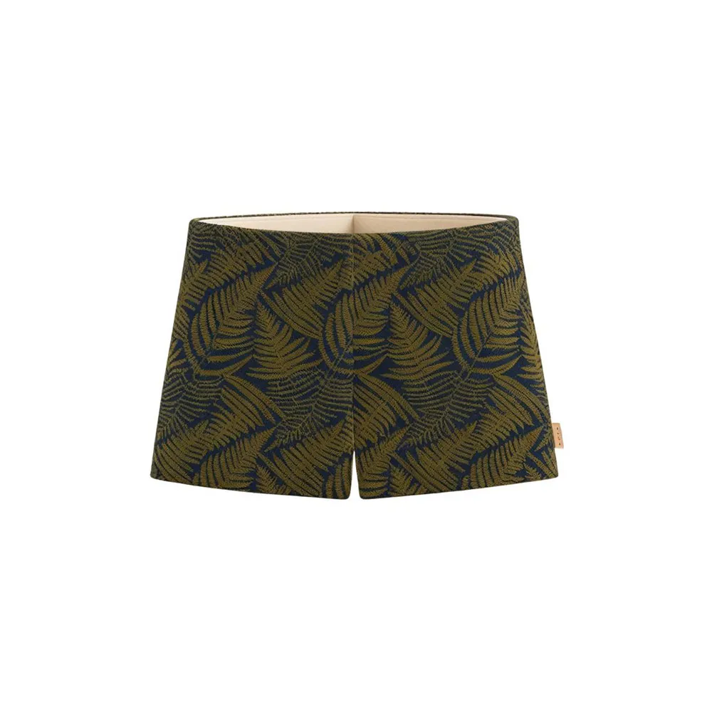 Шорты для плавания Fashy 24992, зеленый
Шорты для плавания Fashy 24992, зеленый