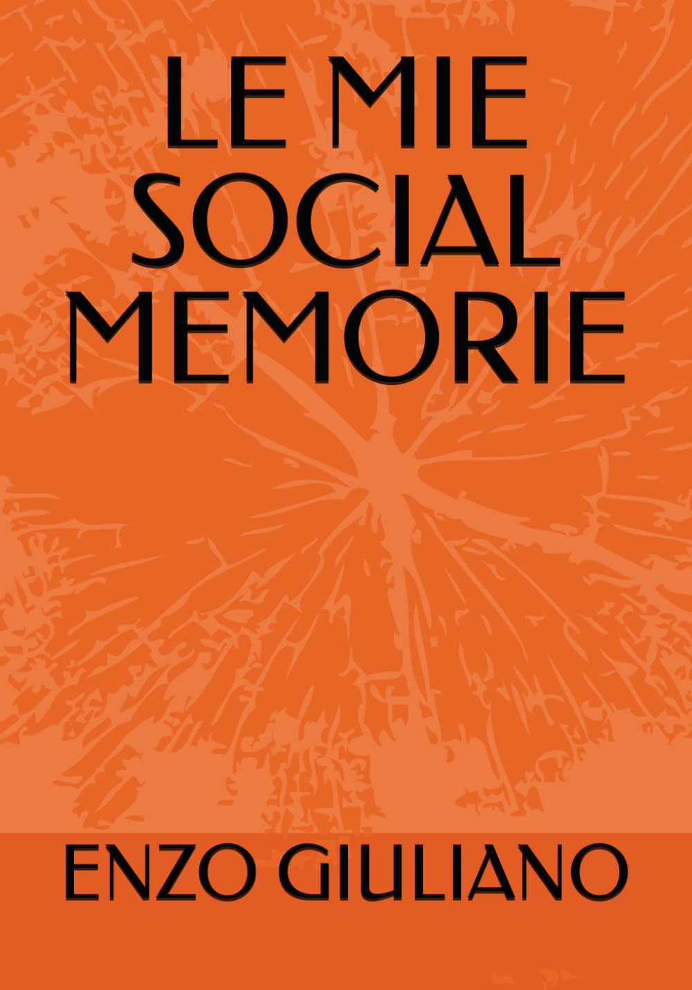 LE MIE SOCIAL MEMORIE (Italian Edition) (Independently published)
LE MIE SOCIAL MEMORIE (Italian Edition) (Independently published)