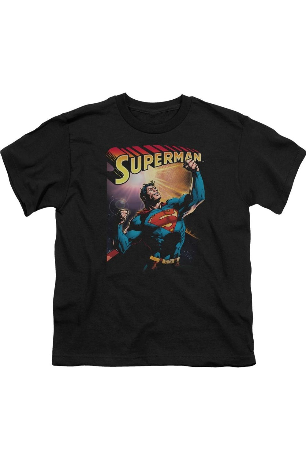 Футболка с коротким рукавом для мальчиков "Superman Victory" Gildan, черный
Футболка с коротким рукавом для мальчиков "Superman Victory" Gildan, черный