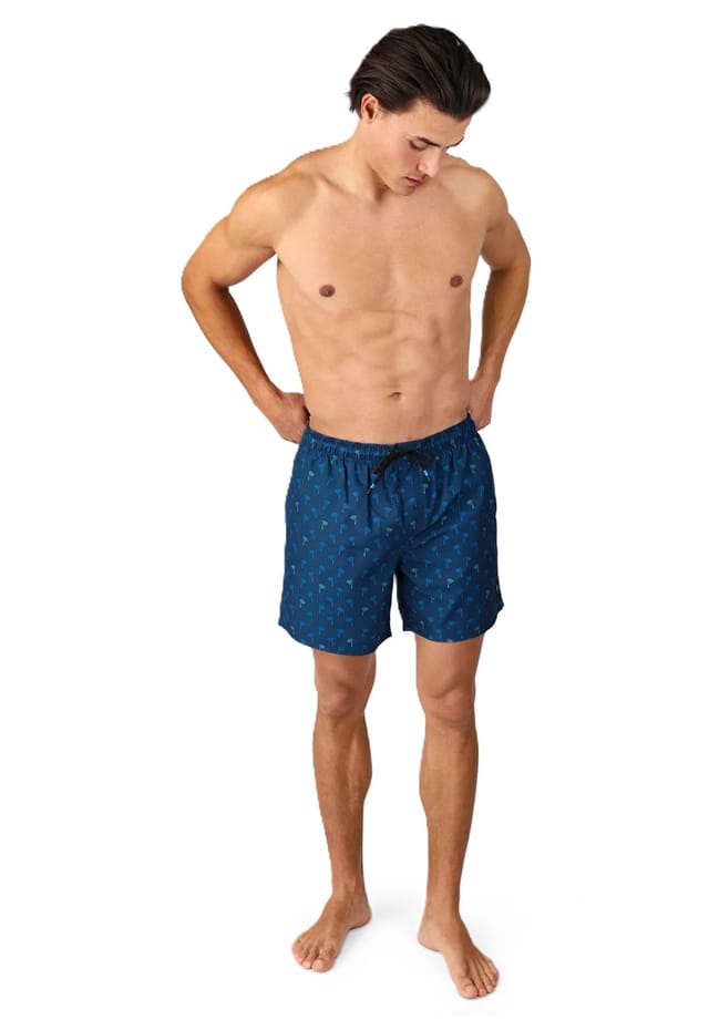 Плавки шорты "cester-mini" эластичный пояс со шнурком Brunotti, синий
Плавки шорты "cester-mini" эластичный пояс со шнурком Brunotti, синий