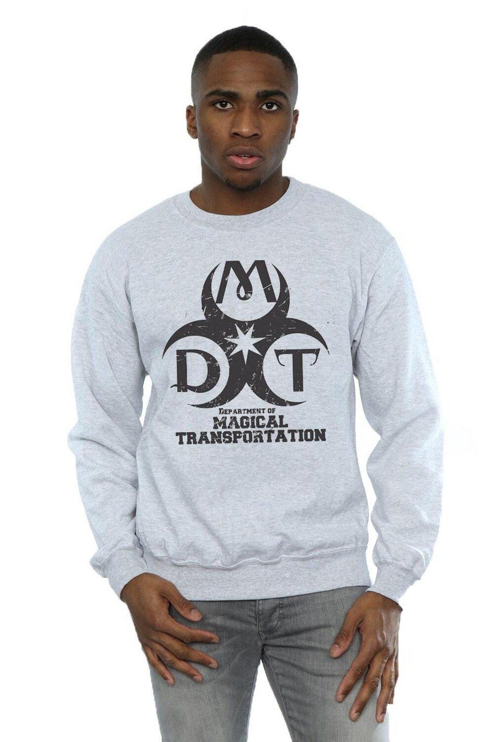 Толстовка с логотипом Департамента магического транспорта Harry Potter, серый