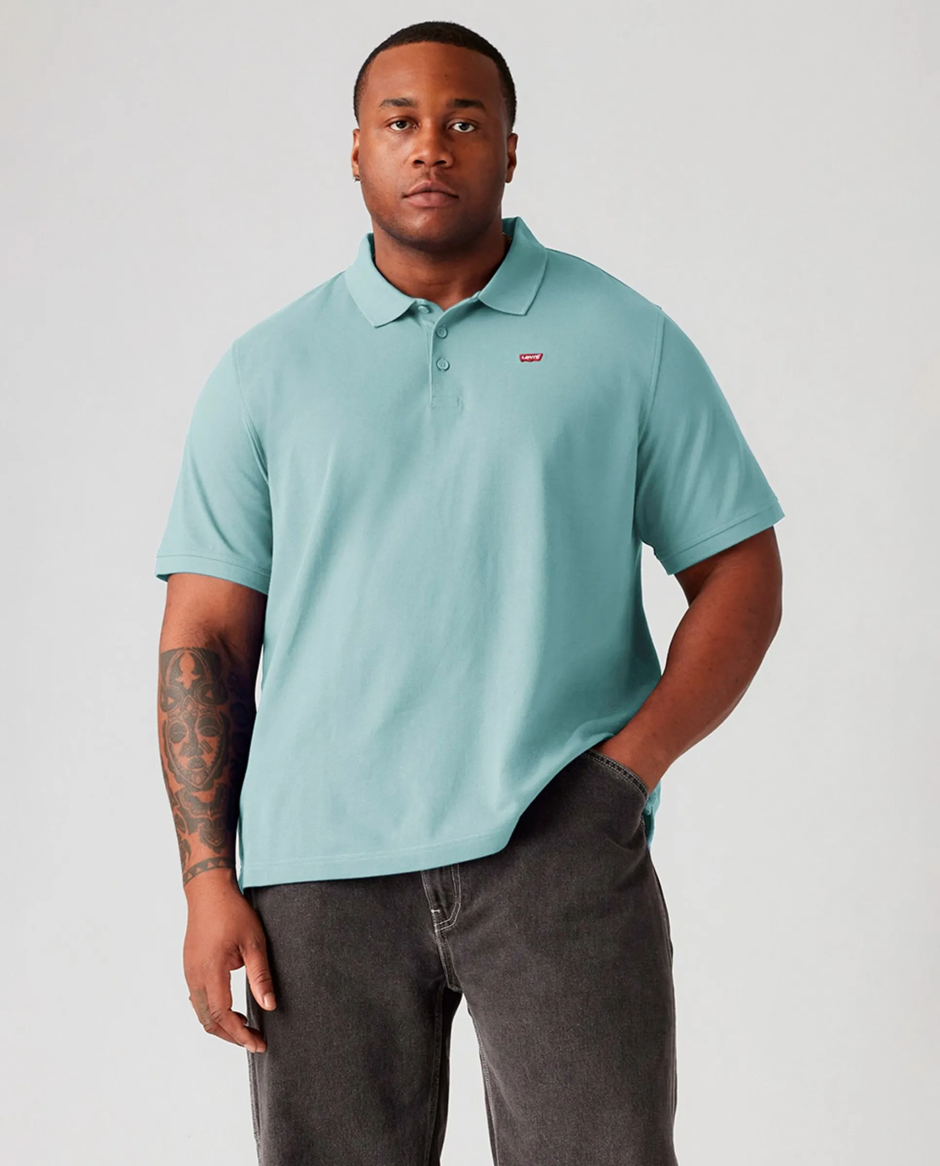 Мужская поло больших размеров с коротким рукавом Levi'S, синий
Мужская поло больших размеров с коротким рукавом Levi'S, синий