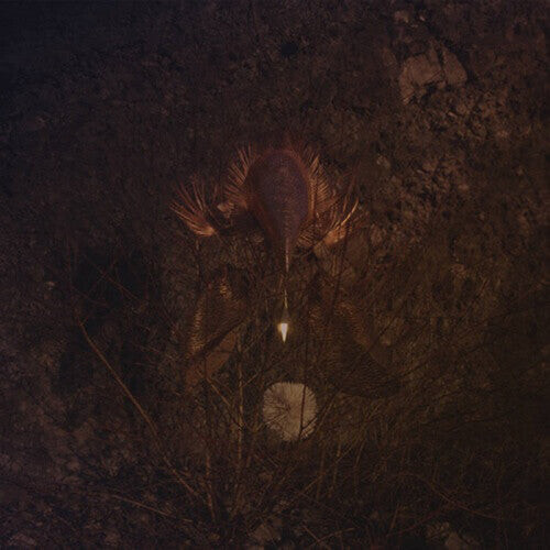 Виниловая пластинка Bongbongbeerwizards: Ampire
Виниловая пластинка Bongbongbeerwizards: Ampire