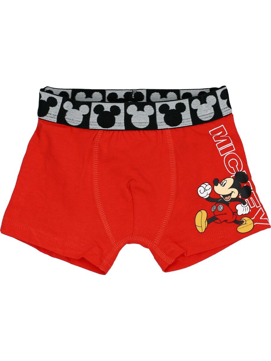 Трусы DISNEY Minnie Mouse, красный
Трусы DISNEY Minnie Mouse, красный