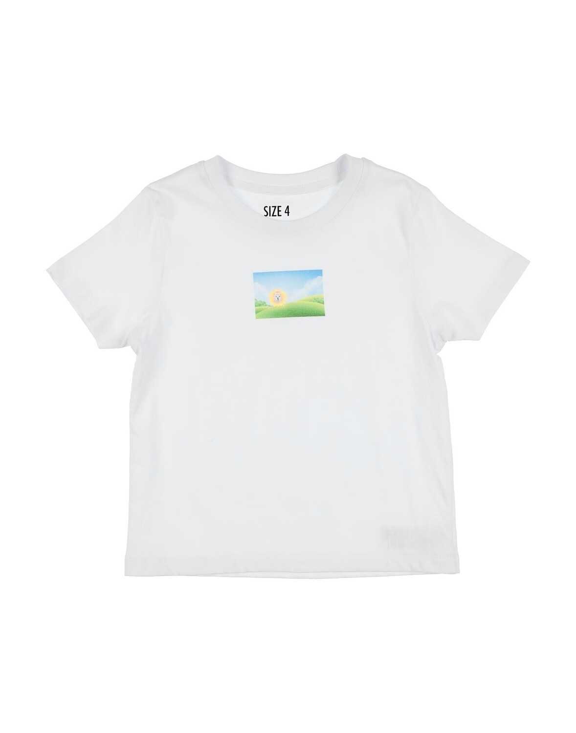 Футболка Caroline Bosmans, белый
Футболка Caroline Bosmans, белый