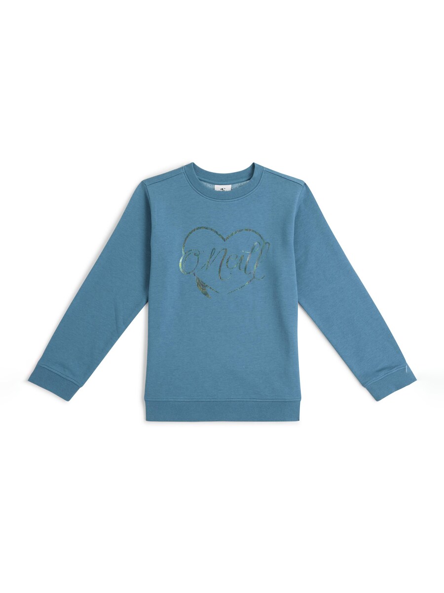 Толстовка O'NEILL, пыльно-синий
Толстовка O'NEILL, пыльно-синий