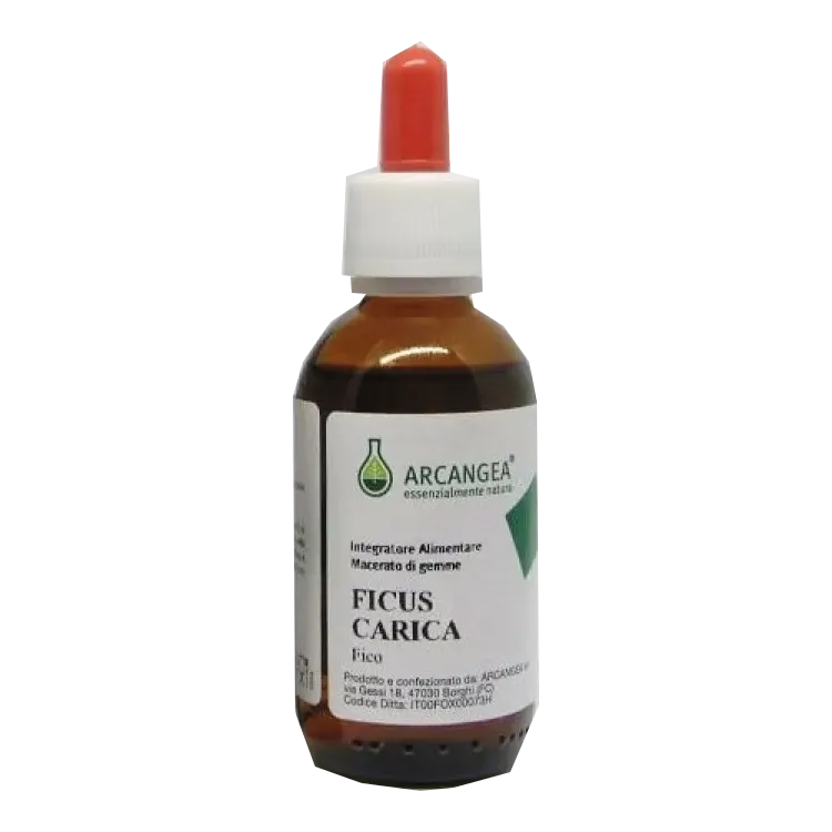 Ficus Carica Bio 33 Degrees 100 мл Тревога и проблемы с желудком Arcangea
Ficus Carica Bio 33 Degrees 100 мл Тревога и проблемы с желудком Arcangea