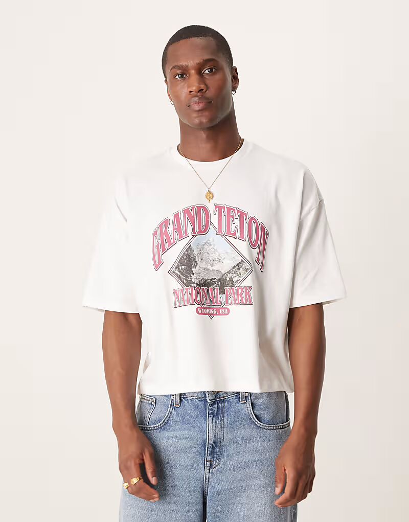 Укороченная футболка свободного кроя ASOS DESIGN с живописным рисунком белого цвета
Укороченная футболка свободного кроя ASOS DESIGN с живописным рисунком белого цвета