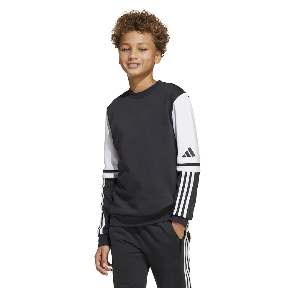 Толстовка adidas Squadra 25 Crewneck, черный
Толстовка adidas Squadra 25 Crewneck, черный