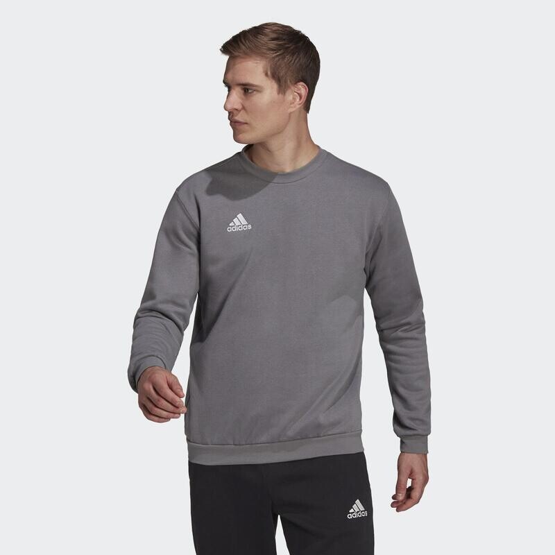 Толстовка «Вход 22» ADIDAS, цвет gris
Толстовка «Вход 22» ADIDAS, цвет gris