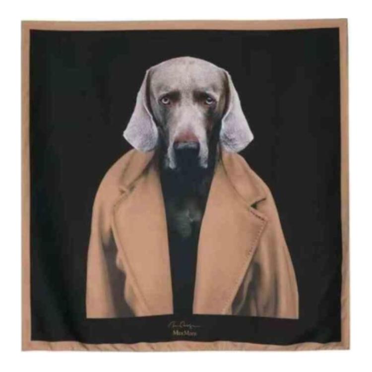 Max Mara Graphic Printed Square Scarf MaxMara, черный
Max Mara Graphic Printed Square Scarf MaxMara, черный