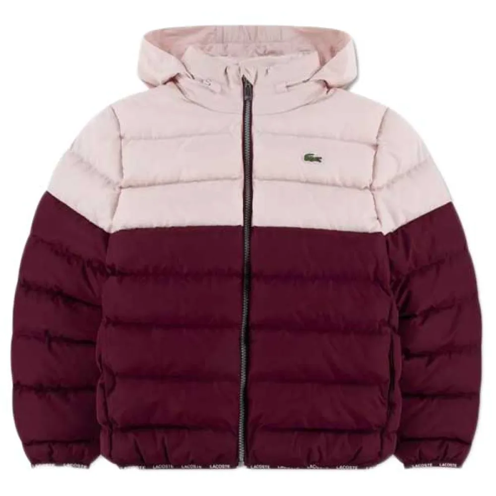 Куртка Lacoste Kids Colorblock Midwt Puffer, розовый
Куртка Lacoste Kids Colorblock Midwt Puffer, розовый