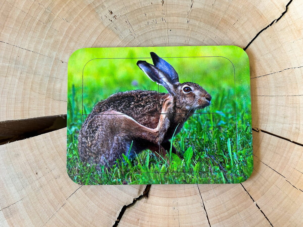 Заяц, деревянный пазл с четырьмя элементами, основа с подписью, первый пазл Inna marka
Заяц, деревянный пазл с четырьмя элементами, основа с подписью, первый пазл Inna marka