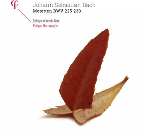 Виниловая пластинка Bach, J.S. / Collegium Vocale Gent / Herreweghe: Johann Sebastian Bach: Motetten BWV 225-230
Виниловая пластинка Bach, J.S. / Collegium Vocale Gent / Herreweghe: Johann Sebastian Bach: Motetten BWV 225-230
