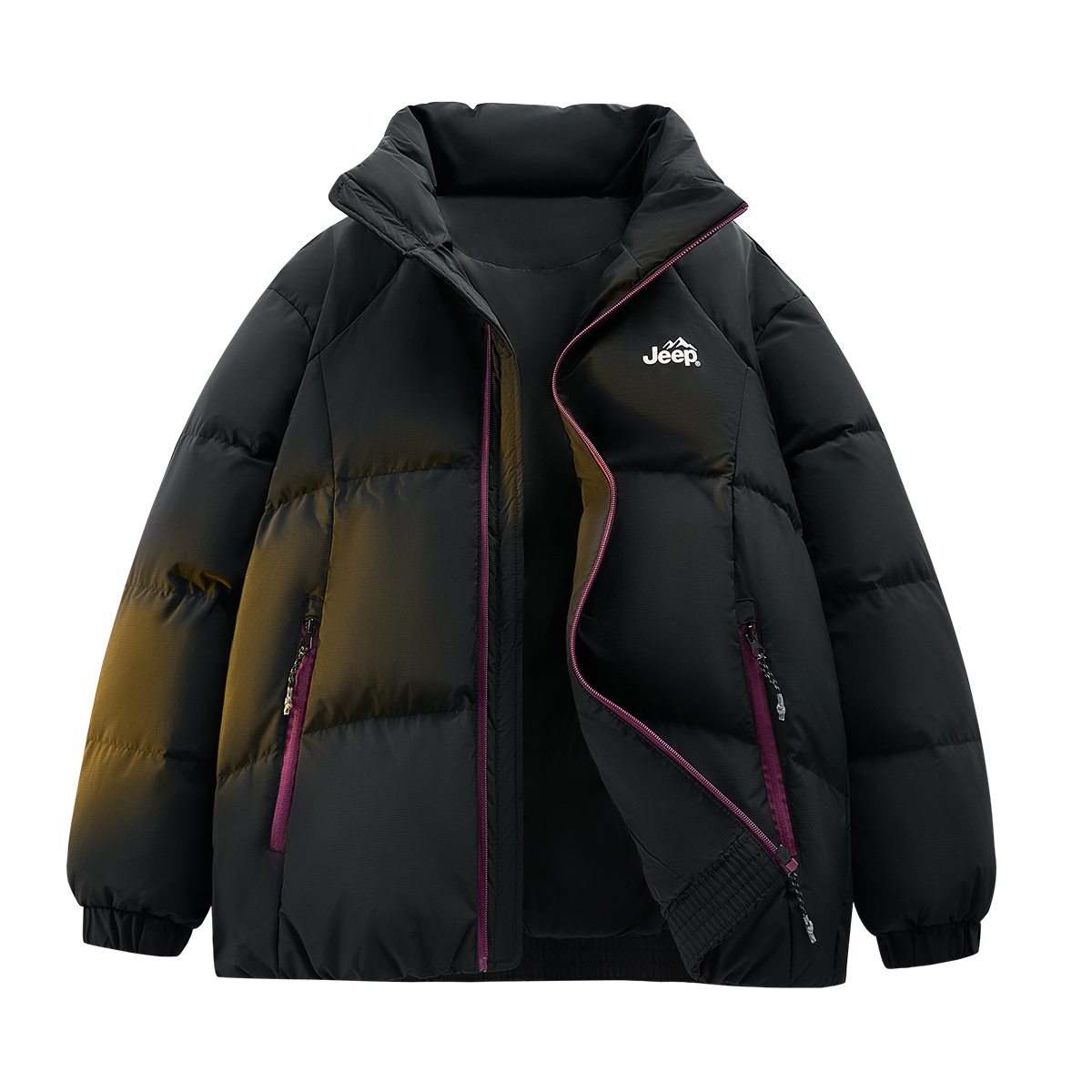 Пуховик Unisex с воротником стойкой утепленный Jeep, pure черный
Пуховик Unisex с воротником стойкой утепленный Jeep, pure черный