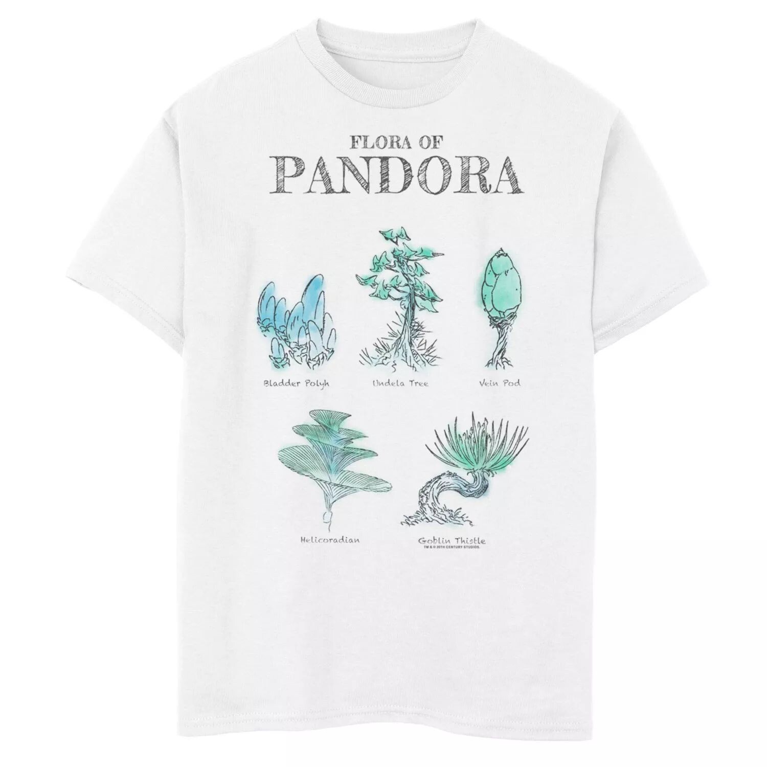 Футболка с рисунком «Аватар 2 Флора Пандоры» для мальчиков 8–20 лет Licensed Character
Футболка с рисунком «Аватар 2 Флора Пандоры» для мальчиков 8–20 лет Licensed Character