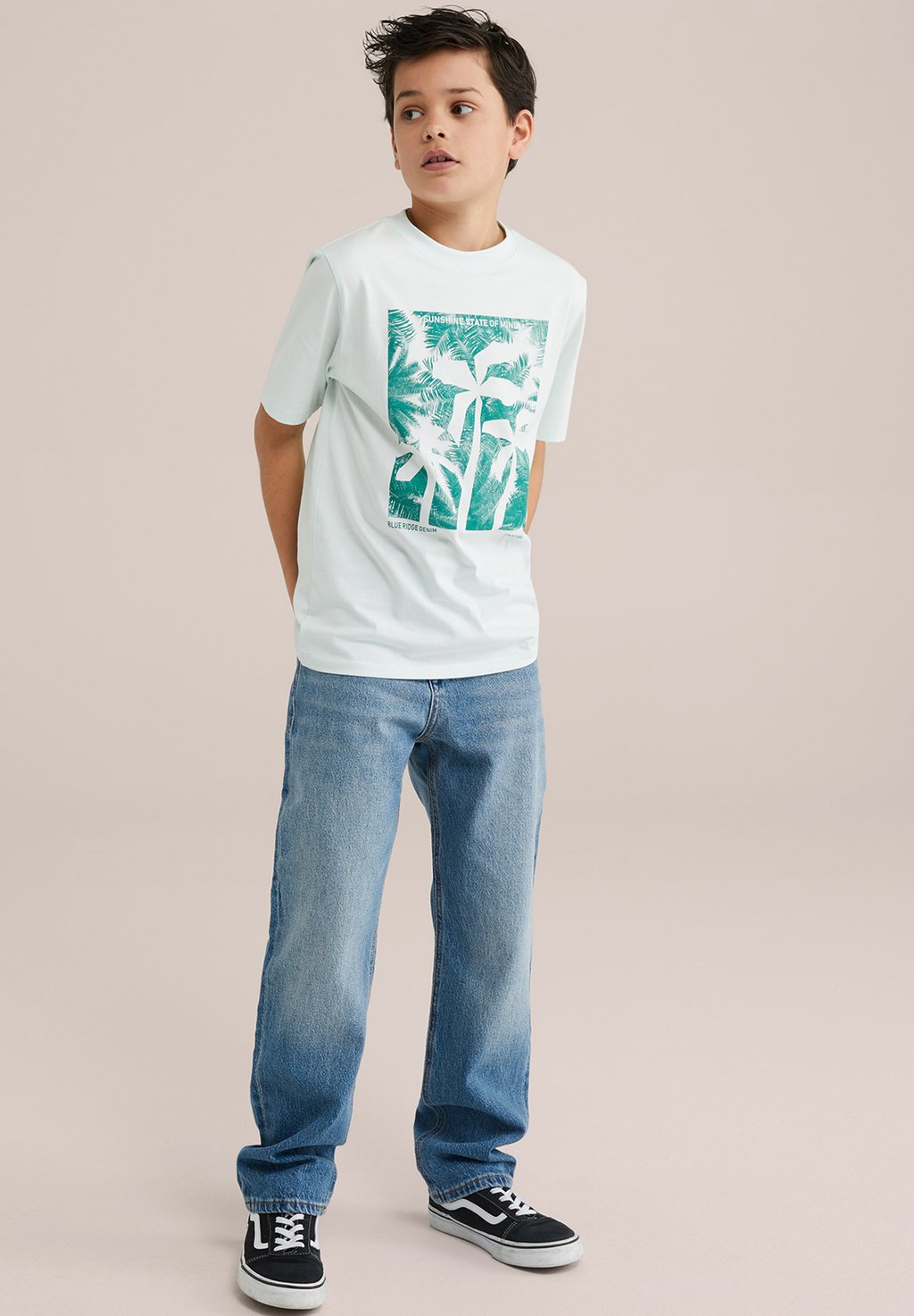 Футболка с принтом BLUE RIDGE WE Fashion, мятный
Футболка с принтом BLUE RIDGE WE Fashion, мятный