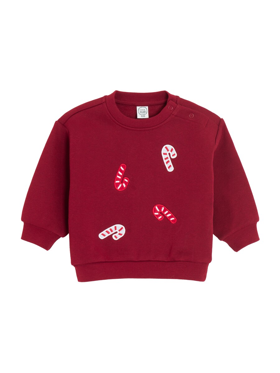 Толстовка с капюшоном на молнии Cool Club, красный
Толстовка с капюшоном на молнии Cool Club, красный