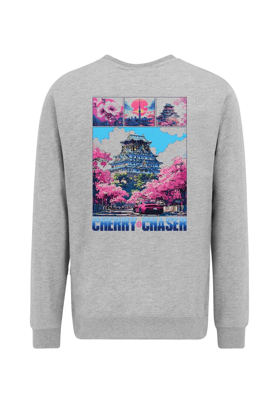 Толстовка Oldskull Retro Cherry Chaser Logo Graphic, серый
Толстовка Oldskull Retro Cherry Chaser Logo Graphic, серый