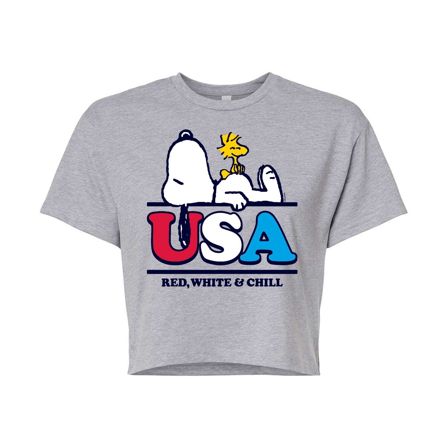 Юниорская укороченная футболка Peanuts Red White Chill с рисунком Licensed Character, серый
Юниорская укороченная футболка Peanuts Red White Chill с рисунком Licensed Character, серый