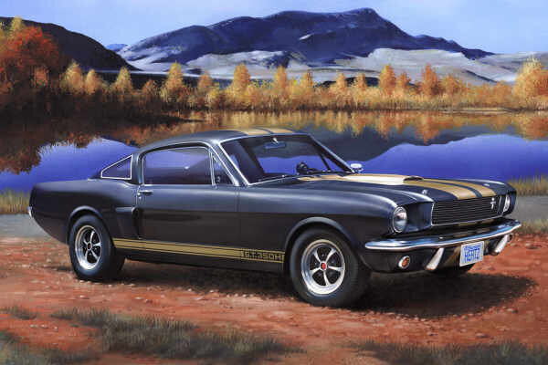Revell, Shelby Mustang GT 350 H, Модель сборки, 6+
Revell, Shelby Mustang GT 350 H, Модель сборки, 6+