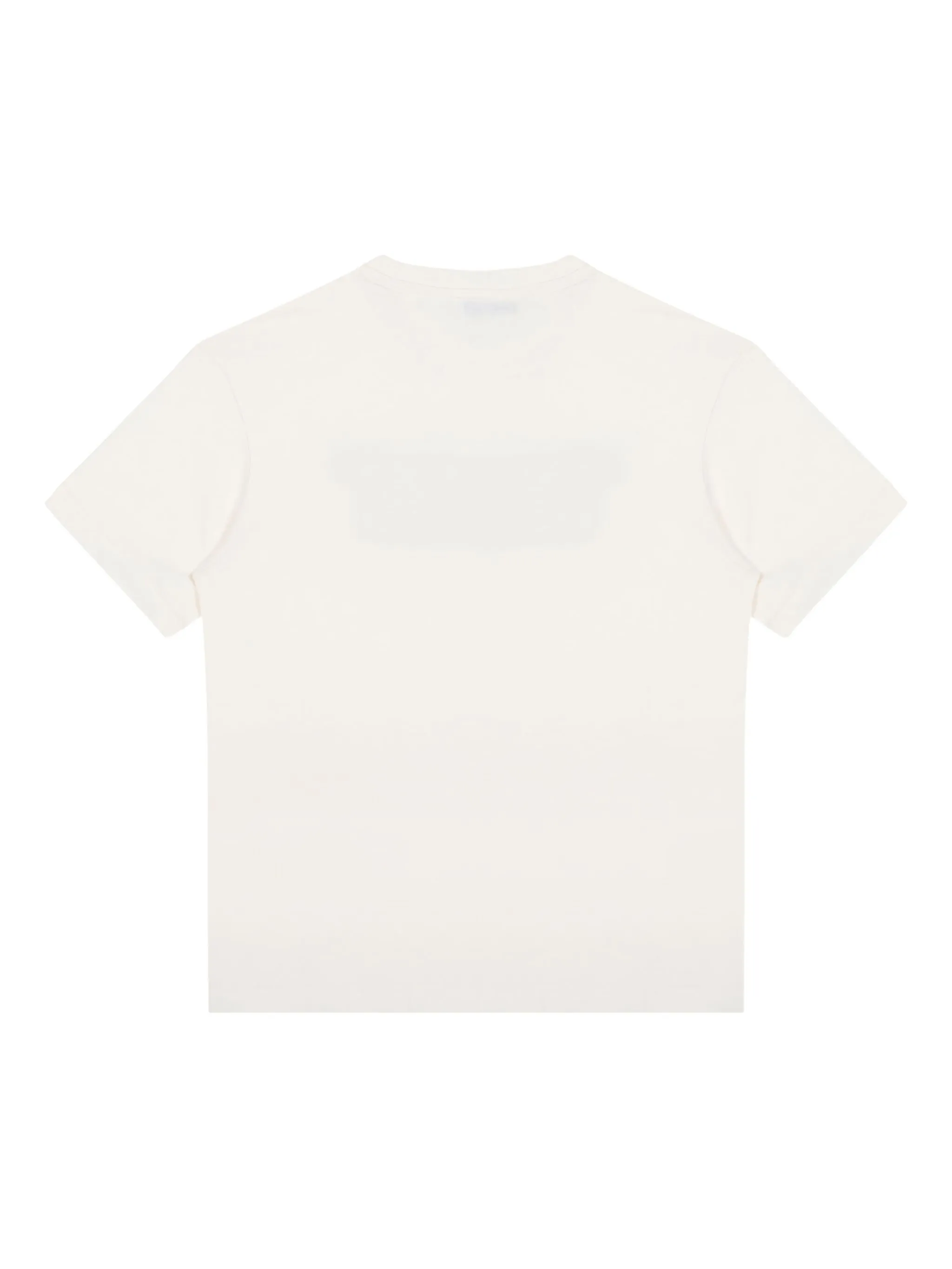 Футболка с логотипом Msgm Kids, кремовый
Футболка с логотипом Msgm Kids, кремовый