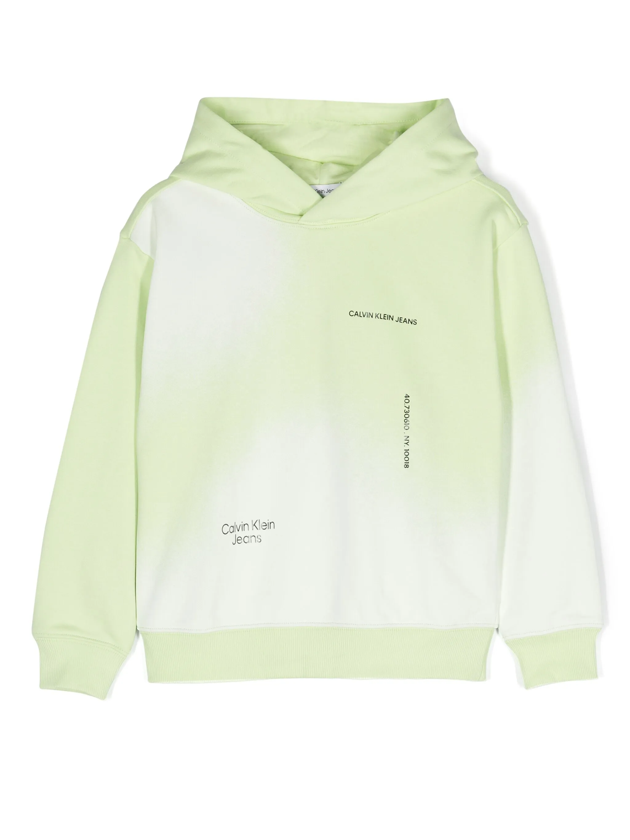 Худи с логотипом Calvin Klein Kids, зеленый
Худи с логотипом Calvin Klein Kids, зеленый