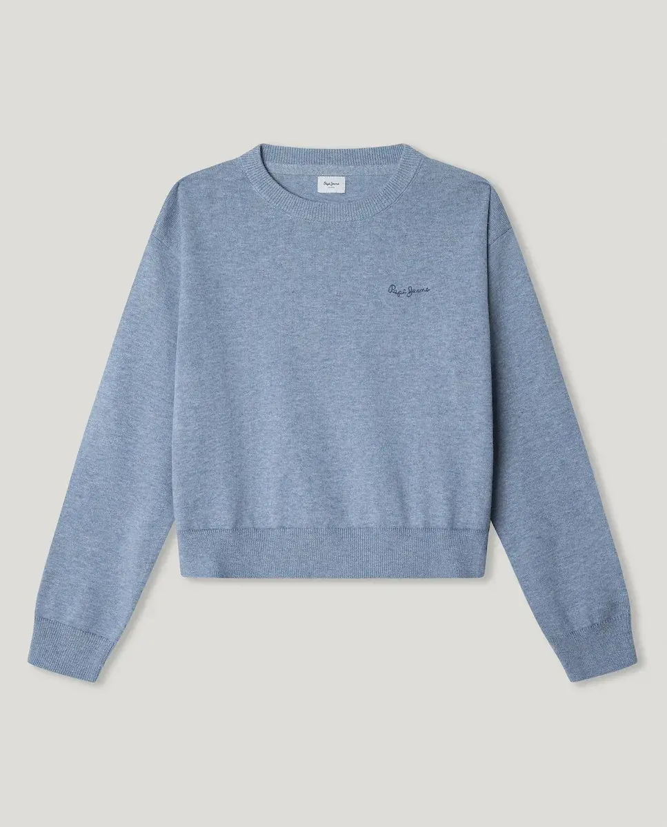 Детский свитер с круглым вырезом и вышитым логотипом Pepe Jeans, светло-голубой
Детский свитер с круглым вырезом и вышитым логотипом Pepe Jeans, светло-голубой