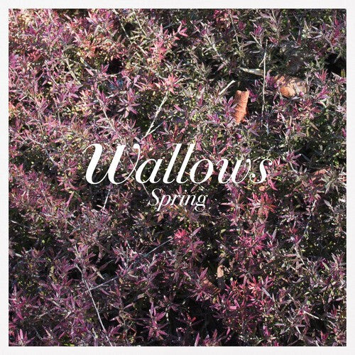 Виниловая пластинка Wallows: Spring
Виниловая пластинка Wallows: Spring