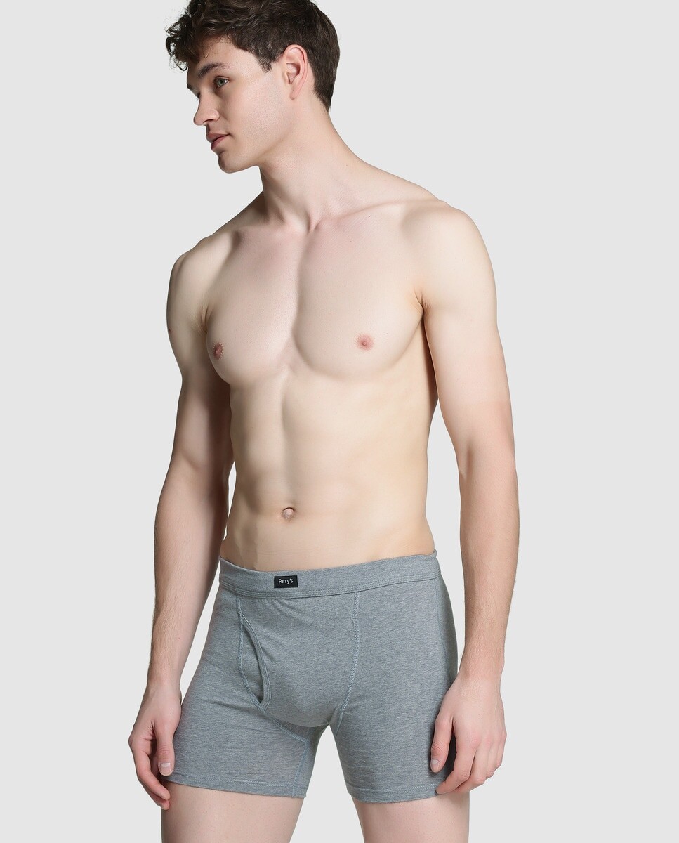 Мужские трикотажные боксеры Grey Ferrys Ferrys, серый
Мужские трикотажные боксеры Grey Ferrys Ferrys, серый