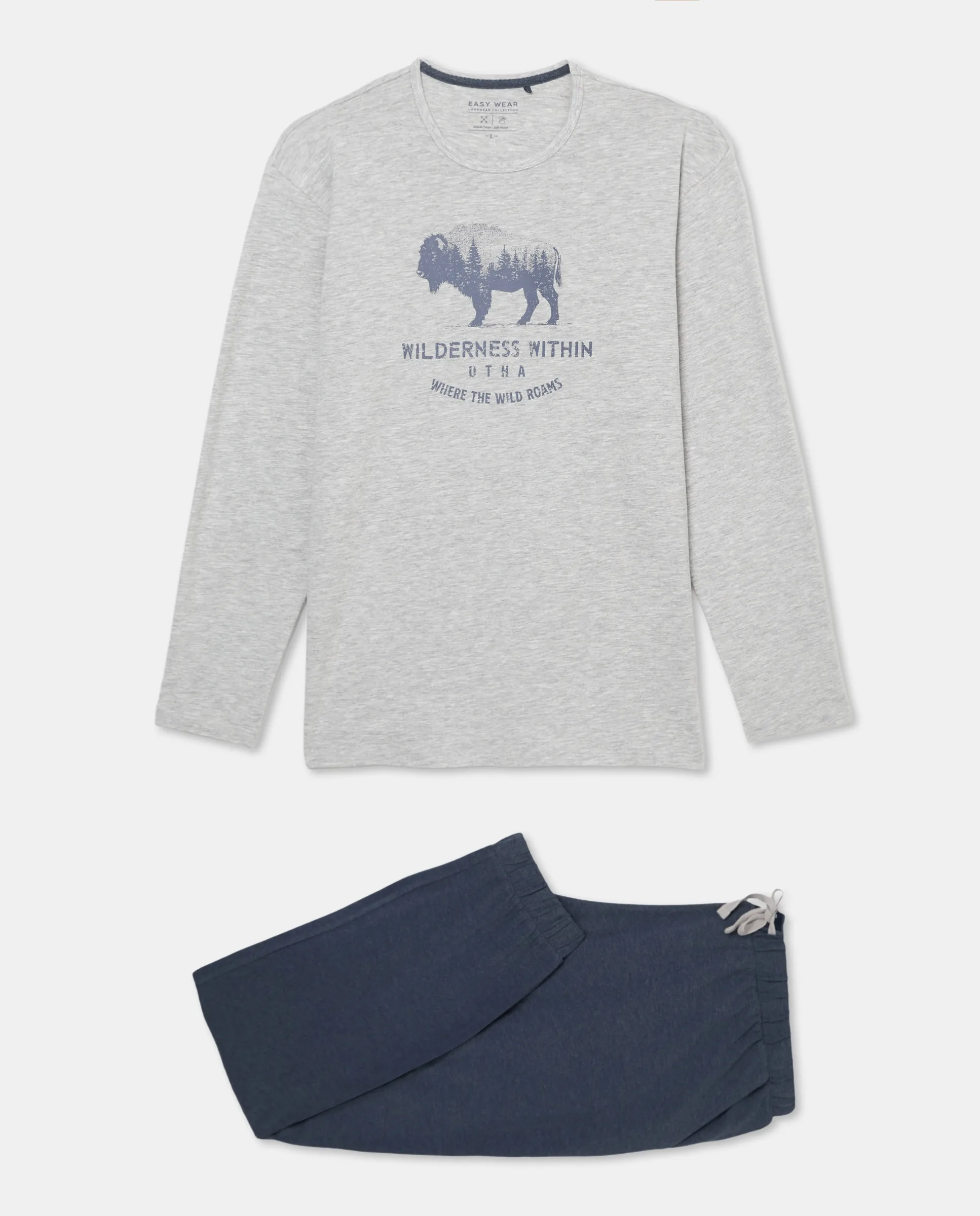 Мужская пижама из джерси с длинными рукавами Easy Wear, светло-серый
Мужская пижама из джерси с длинными рукавами Easy Wear, светло-серый