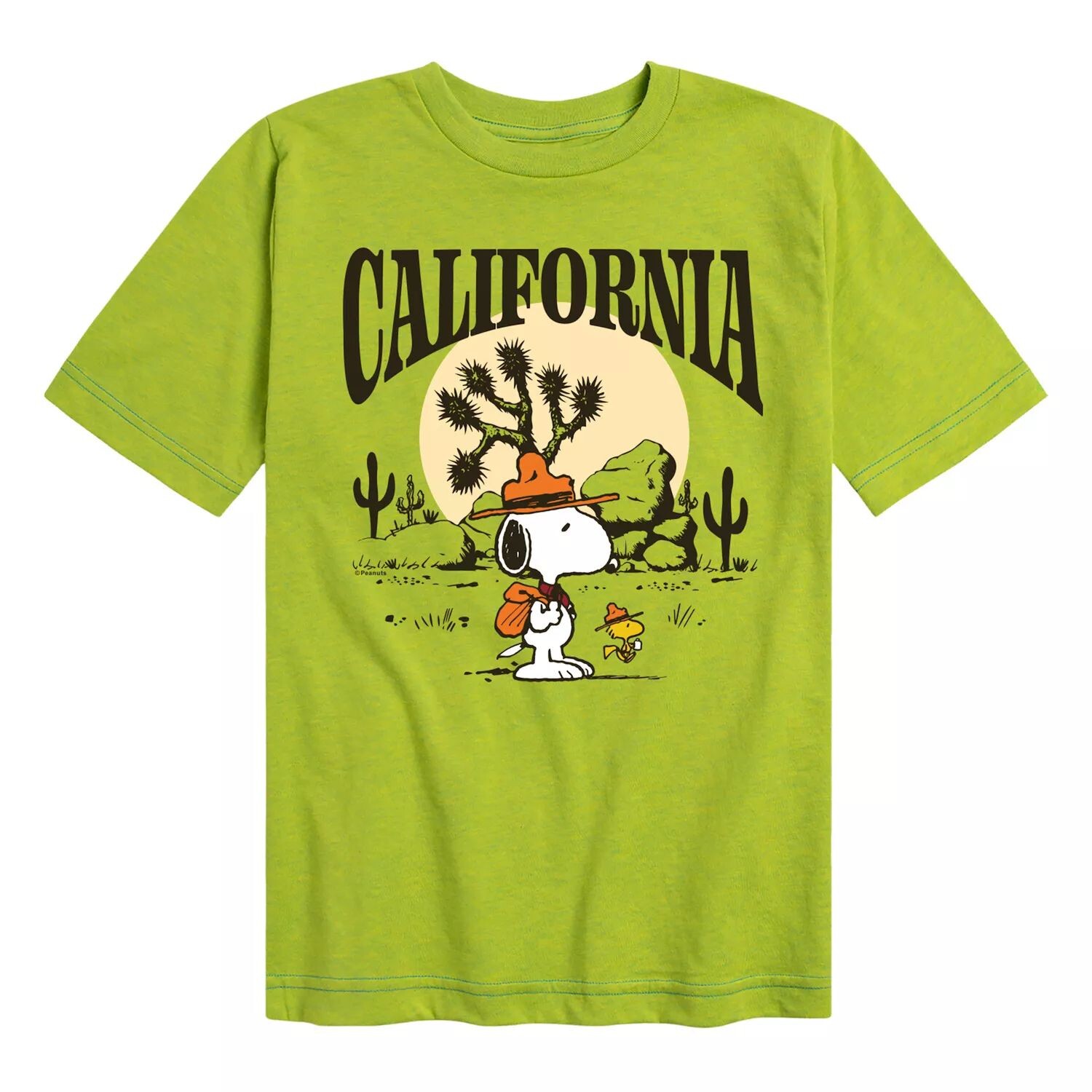 Футболка с рисунком Peanuts California для мальчиков 8–20 лет Licensed Character, светло-зеленый
Футболка с рисунком Peanuts California для мальчиков 8–20 лет Licensed Character, светло-зеленый