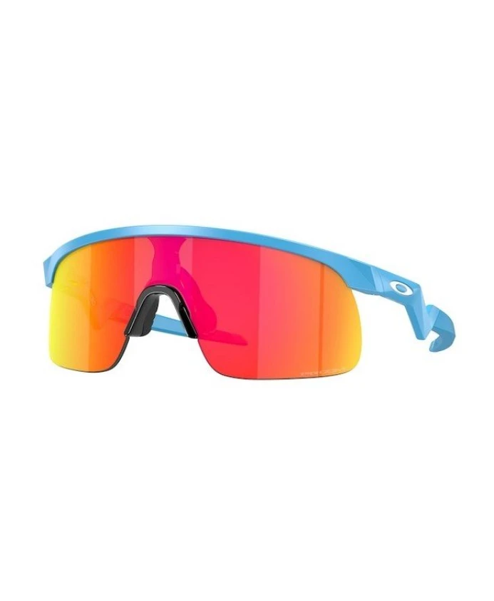 Солнцезащитные очки Резистор Oakley, синий
Солнцезащитные очки Резистор Oakley, синий