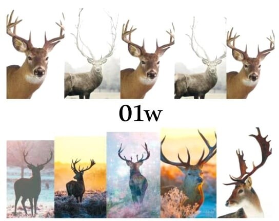 Водные наклейки для ногтей - №01W, inna
Водные наклейки для ногтей - №01W, inna