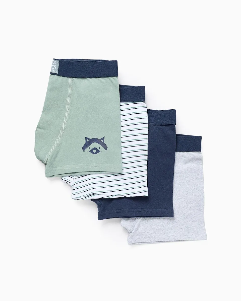 Набор из 4 однотонных/в полоску мужских трусов для мальчиков Zippy, зеленый
Набор из 4 однотонных/в полоску мужских трусов для мальчиков Zippy, зеленый