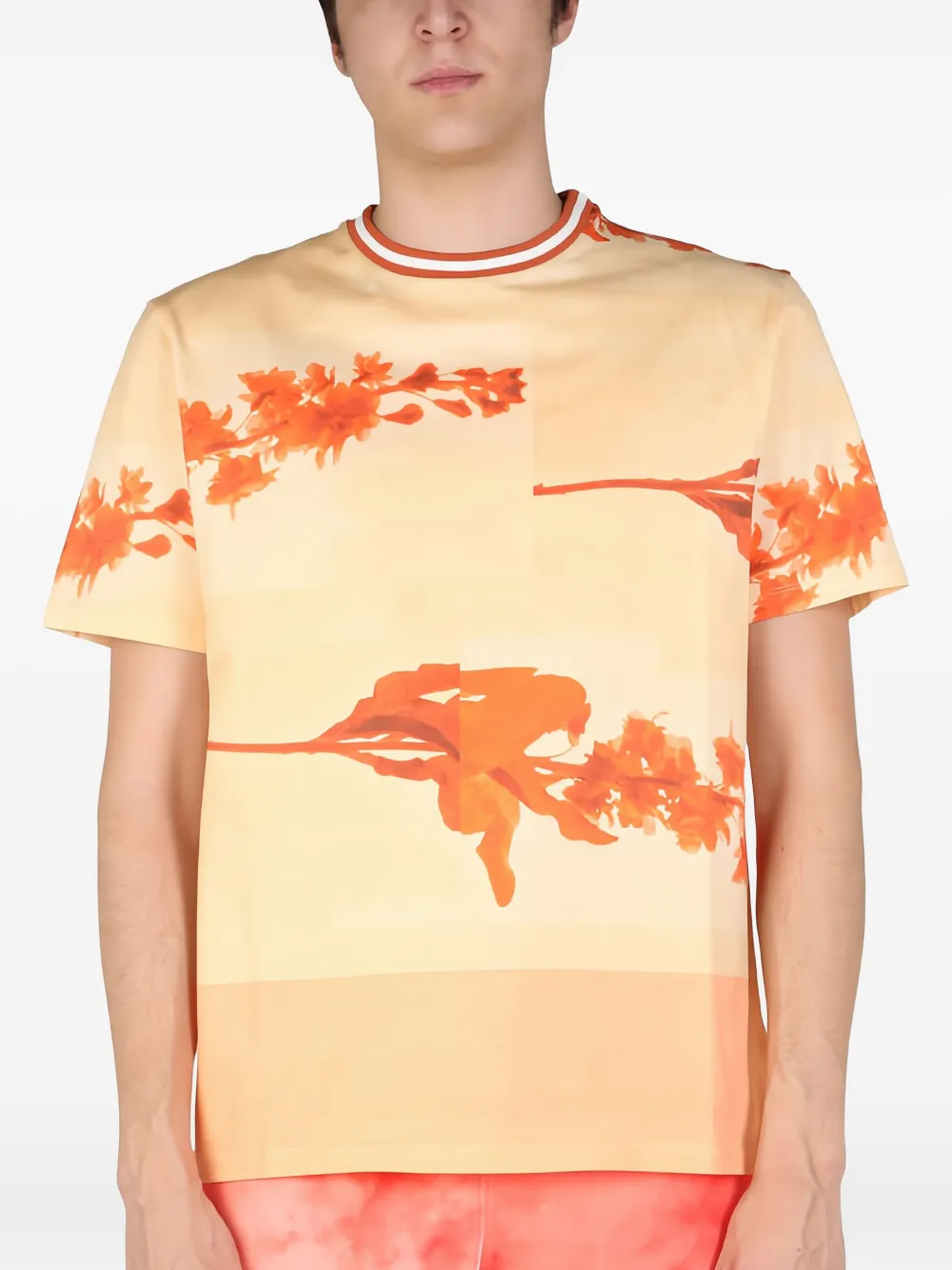 Футболка с цветочным принтом Paul Smith, нейтральный
Футболка с цветочным принтом Paul Smith, нейтральный