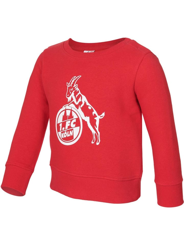 Толстовка Fußballverein 1. FC Köln, красный
Толстовка Fußballverein 1. FC Köln, красный