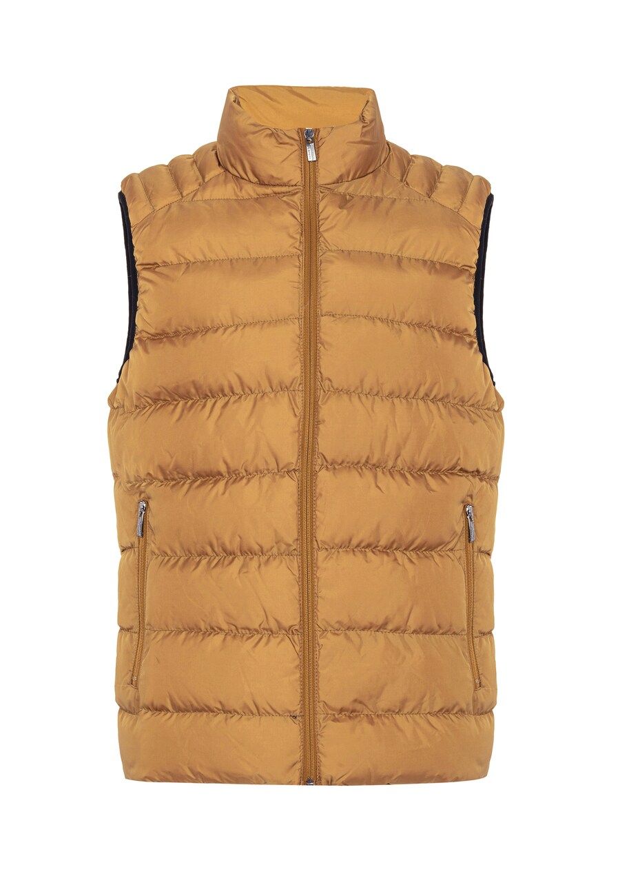 Жилет Jimmy Sanders Vest, цвет sepia
Жилет Jimmy Sanders Vest, цвет sepia