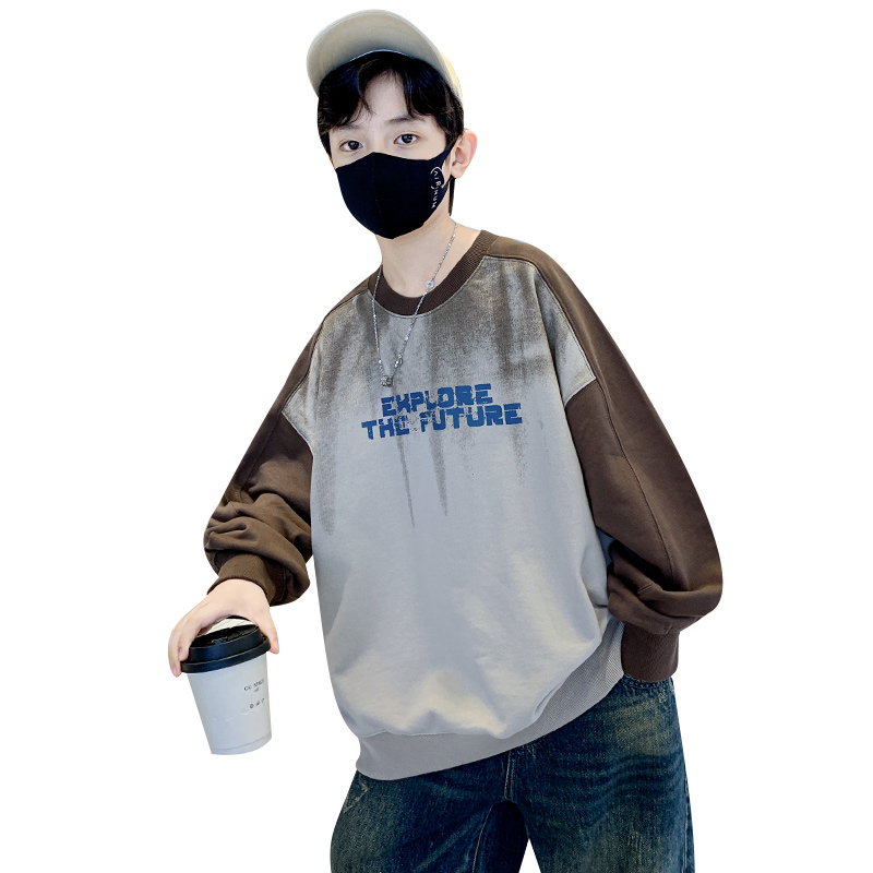 Детский свитшот с круглым вырезом Moderate EASTERN CAMEL, coffee
Детский свитшот с круглым вырезом Moderate EASTERN CAMEL, coffee