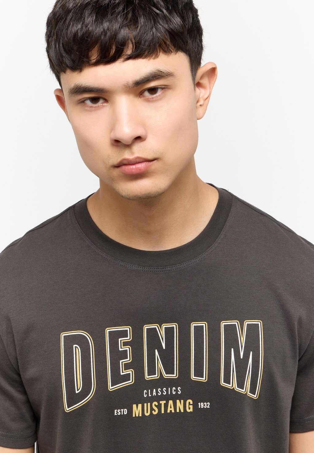 Футболка с принтом Mustang, антрацит
Футболка с принтом Mustang, антрацит