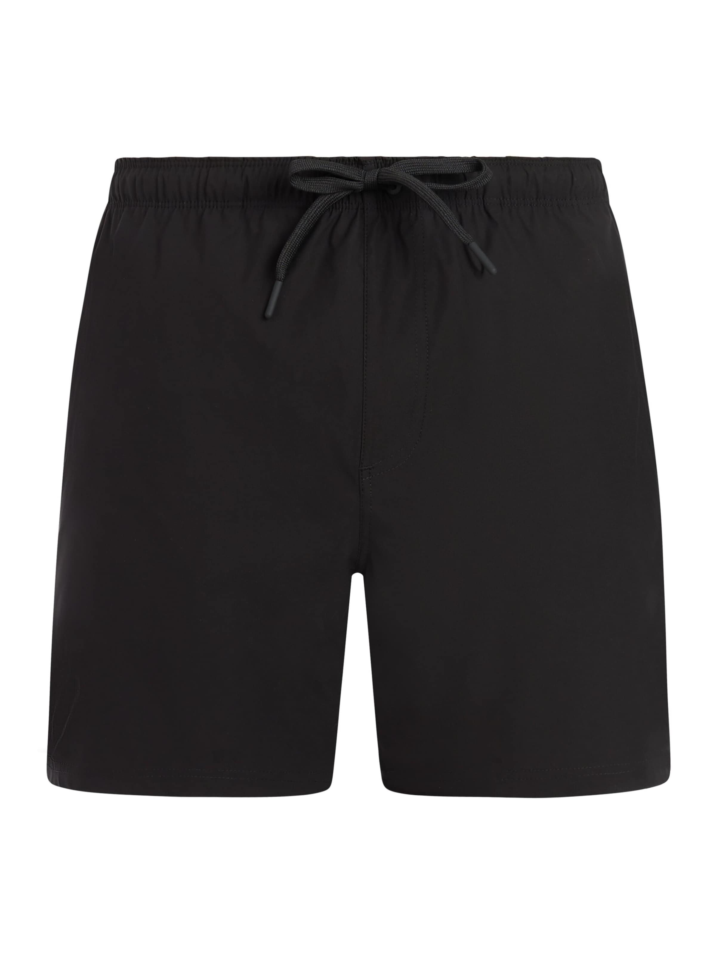 PROTEST Шорты Regular 'PRTQuinton' в черном цвете
PROTEST Шорты Regular 'PRTQuinton' в черном цвете