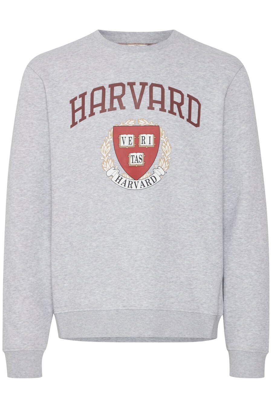 Свитер BLEND Sweatshirt, пятнистый серый
Свитер BLEND Sweatshirt, пятнистый серый