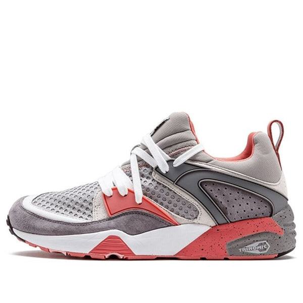 Кроссовки staple x blaze of glory og 'pigeon' Puma, серый
Кроссовки staple x blaze of glory og 'pigeon' Puma, серый