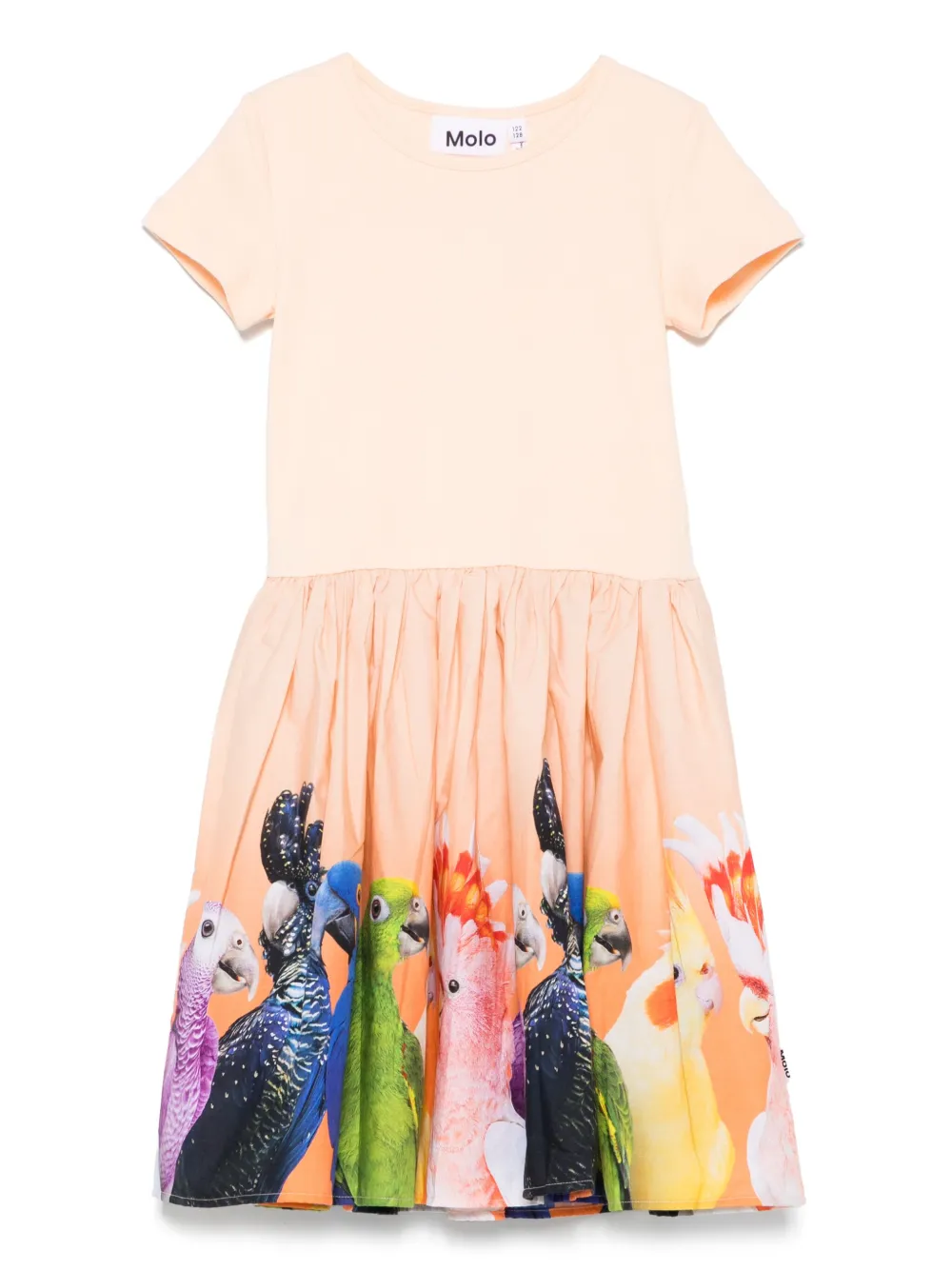 Платье Cissa Molo, оранжевый
Платье Cissa Molo, оранжевый